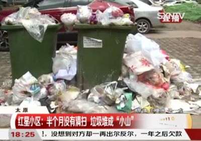 太原小区垃圾成灾,没人收的原因竟是这个,网友:上海人得疯!