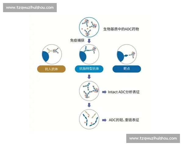 以比赛ADC为核心全面分析提升策略及实战技巧解析