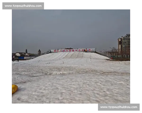 冰上滑雪车竞技赛：挑战极限速度与技巧的冰雪奇观