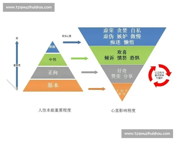 对抗的背后是合作:探索比赛与合作的深层关系与相互作用