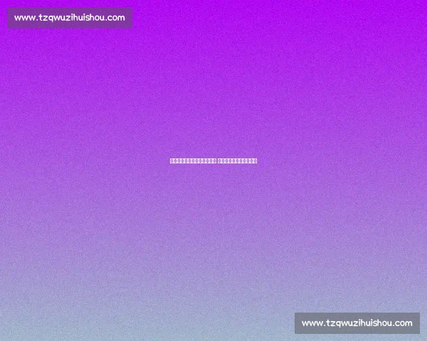 张开印精彩表现引领比赛胜利 全场高光时刻回顾与分析