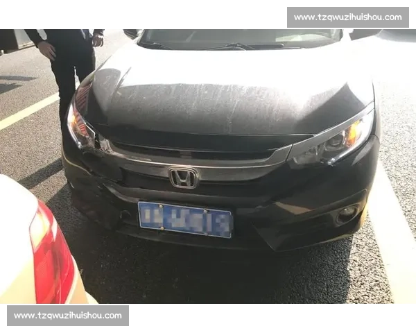 思域赛事挑战赛：速度与激情的碰撞，车迷热血沸腾的终极对决