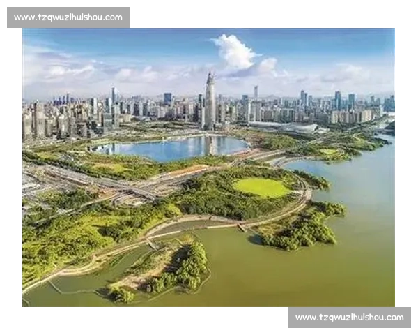 企业生态建设驱动创新与可持续发展探索路径与实践分析